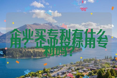 企業(yè)買專利有什么用？企業(yè)投標用專利嗎？