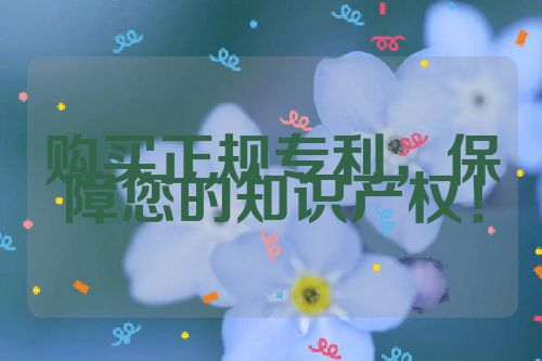 購買正規(guī)專利，保障您的知識(shí)產(chǎn)權(quán)！