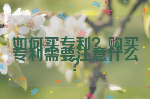 如何買專利？購買專利需要注意什么？