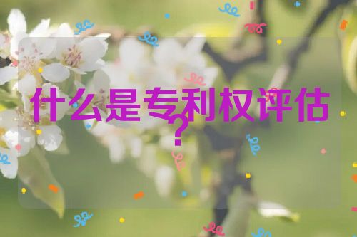 什么是專利權(quán)評估？