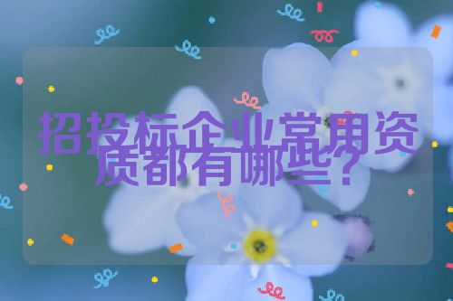 招投標企業(yè)常用資質(zhì)都有哪些？