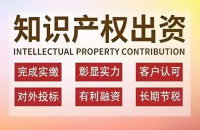 專利增資，專利評(píng)估分析